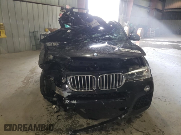 2017 BMW X4 xDrive28i with VIN 5UXXW3C36H0T79570, listed as a Copart auction lot 48763773 with 0 mi miles. Bid and sale history available at carsss.com. Image 5.