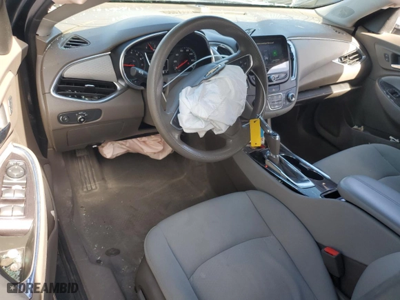 2019 Chevrolet Malibu LT with VIN 1G1ZD5STXKF173274, listed as a Copart auction lot 48436895 with 117,736 mi miles and Salvage Title. Bid and sale history available at carsss.com. Image 8.