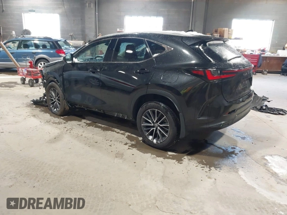 2024 Lexus NX with VIN 2T2AGCEZ5RC053557, listed as a IAAI auction lot 41340693 with 17,026 mi miles. Bid and sale history available at carsss.com. Image 3.