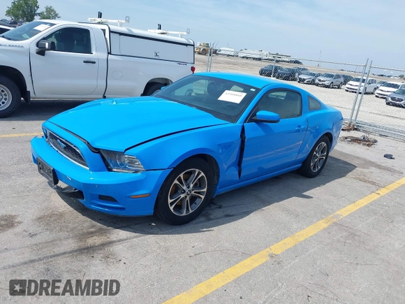 2013 Ford Mustang V6 with VIN 1ZVBP8AM9D5257832, listed as a IAAI auction lot 42504860 with 87,337 mi miles and . Bid and sale history available at DreamBid. Image 19.