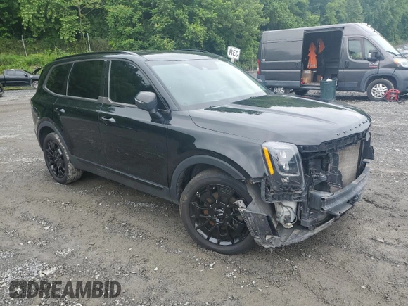 2022 Kia Telluride EX with VIN 5XYP3DHC5NG207139, listed as a Copart auction lot 60104755 with 101,632 mi miles and Salvage title. Bid and sale history available at DreamBid. Image 4.