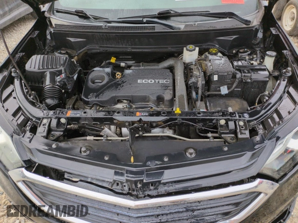 2019 Chevrolet Equinox LS with VIN 2GNAXSEV7K6268688, listed as a Copart auction lot 43025335 with 132,237 mi miles and Salvage Title. Bid and sale history available at DreamBid. Image 11.