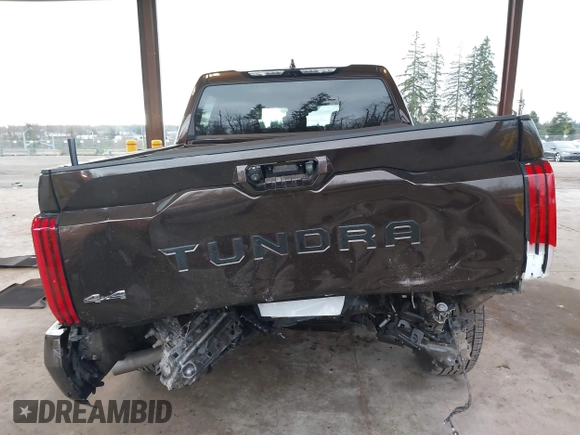 2023 Toyota Tundra Limited with VIN 5TFJA5DB9PX125400, listed as a IAAI auction lot 41336129 with 12,384 mi miles and . Bid and sale history available at DreamBid. Image 17.