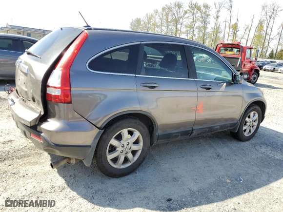 2009 Honda CR-V EX-L with VIN 5J6RE48789L031388, listed as a Copart auction lot 53002655 with 259,803 mi miles and Salvage Title. Bid and sale history available at carsss.com. Image 3.