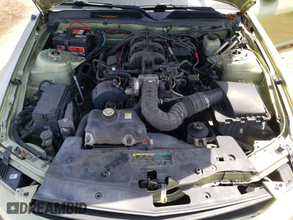 2005 Ford Mustang Deluxe with VIN 1ZVFT80N555143190, listed as a Copart auction lot 55550105 with 183,355 mi miles and Clean Title. Bid and sale history available at carsss.com. Image 11.
