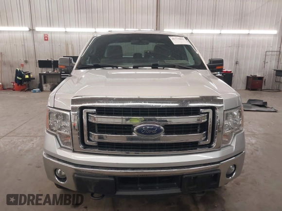 2014 Ford F-150 XL with VIN 1FTFX1ET2EKF47314, listed as a IAAI auction lot 41775865 with 167,908 mi miles. Bid and sale history available at carsss.com. Image 6.