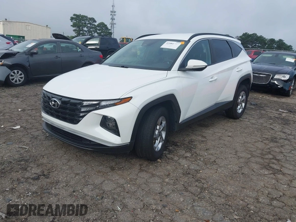 2023 Hyundai Tucson SEL with VIN 5NMJBCAE1PH201717, listed as a IAAI auction lot 42481210 with 55,943 mi miles and . Bid and sale history available at DreamBid. Image 17.