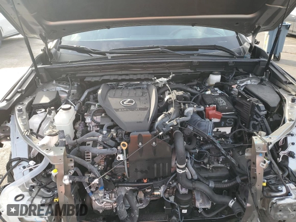 2024 Lexus NX with VIN 2T2KGCEZ9RC047071, listed as a Copart auction lot 41800075 with 8,363 mi miles and Salvage Title. Bid and sale history available at carsss.com. Image 12.