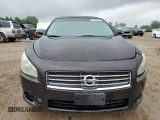 2010 Nissan Maxima SV with VIN 1N4AA5AP6AC805386, listed as a Copart auction lot 58983035 with 210,062 mi miles and Salvage title. Bid and sale history available at DreamBid. Image 5.