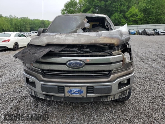 2019 Ford F-150 XL with VIN 1FTEW1E50KKC39280, listed as a Copart auction lot 53943915 with Not provided miles and Salvage title. Bid and sale history available at DreamBid. Image 5.