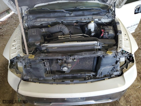 2010 Dodge Ram 1500 SLT with VIN 1D7RB1CT4AS226289, listed as a Copart auction lot 69401064 with 270,741 mi miles and Salvage Title. Bid and sale history available at carsss.com. Image 11.