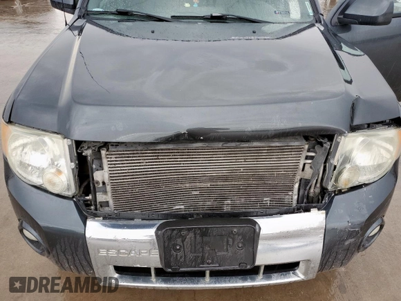 2009 Ford Escape Limited with VIN 1FMCU04G79KC12092, listed as a Copart auction lot 55946685 with 188,959 mi miles and Salvage title. Bid and sale history available at DreamBid. Image 11.