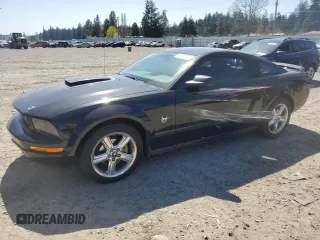 2009 Ford Mustang with VIN 1ZVHT80N295107200, listed as a Copart auction lot 53107595 with 102,704 mi miles and Salvage Title. Bid and sale history available at carsss.com. Image 1.