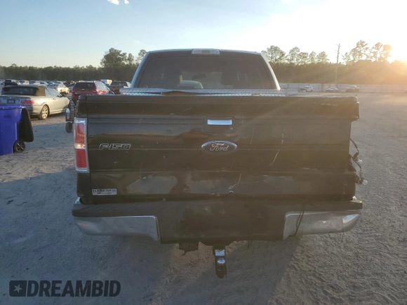 2009 Ford F-150 XL with VIN 1FTRW12869FA73172, listed as a Copart auction lot 41407375 with 215,230 mi miles and Salvage Title. Bid and sale history available at carsss.com. Image 6.