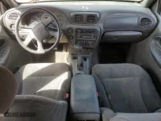 2002 Chevrolet TrailBlazer LS with VIN 1GNDT13S422462068, listed as a Copart auction lot 46504315 with 234,984 mi miles and Salvage Title. Bid and sale history available at carsss.com. Image 8.