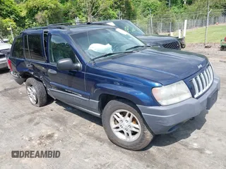 2004 Jeep Grand Cherokee Laredo with VIN 1J4GW48S94C305232, listed as a IAAI auction lot 42190829 with Not provided miles and . Bid and sale history available at DreamBid. Image 1.