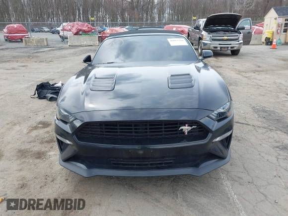 2021 Ford Mustang GT Premium with VIN 1FATP8FF4M5143096, listed as a IAAI auction lot 42013344 with 20,221 mi miles and . Bid and sale history available at DreamBid. Image 12.