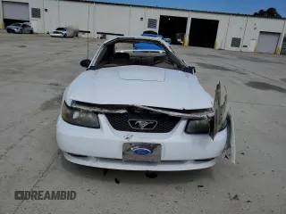 2003 Ford Mustang Standard with VIN 1FAFP40493F427703, listed as a Copart auction lot 49207945 with 0 mi miles and Salvage Title. Bid and sale history available at carsss.com. Image 5.