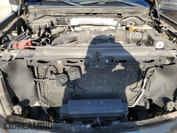 2012 Ford F-150 XL with VIN 1FTFX1ET6CFD06068, listed as a Copart auction lot 52170005 with 195,272 mi miles and Salvage Title. Bid and sale history available at carsss.com. Image 11.