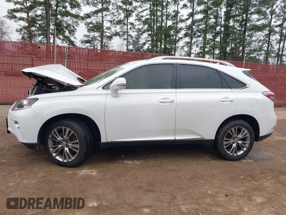 2013 Lexus RX 350 with VIN JTJZK1BA8D2416382, listed as a IAAI auction lot 41514921 with 74,341 mi miles and . Bid and sale history available at DreamBid. Image 14.