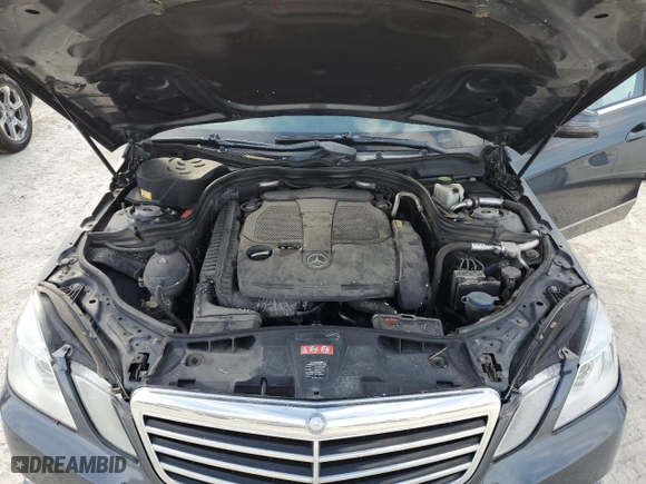 2013 Mercedes-Benz E-Class E 350 Luxury with VIN WDDHF8JB8DA759517, listed as a Copart auction lot 76479244 with 0 mi miles and Non Repairable. Bid and sale history available at carsss.com. Image 11.