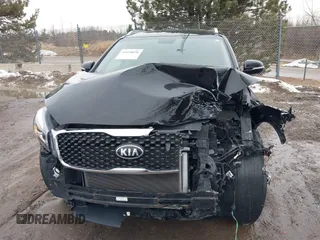 2018 Kia Sorento LX V6 with VIN 5XYPGDA5XJG419416, listed as a IAAI auction lot 41650650 with 95,897 mi miles. Bid and sale history available at carsss.com. Image 17.