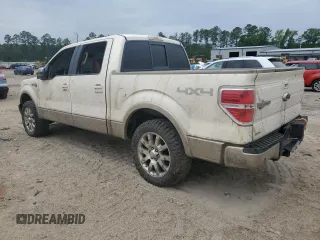 2009 Ford F-150 XL z VIN 1FTPW14V19KB33070, wystawiony jako Copart lot #55521345 z przebiegiem Nie podano mil oraz Szkoda całkowita • Salvage title. Historia ofert i sprzedaży dostępna na DreamBid. Obrazek 2.
