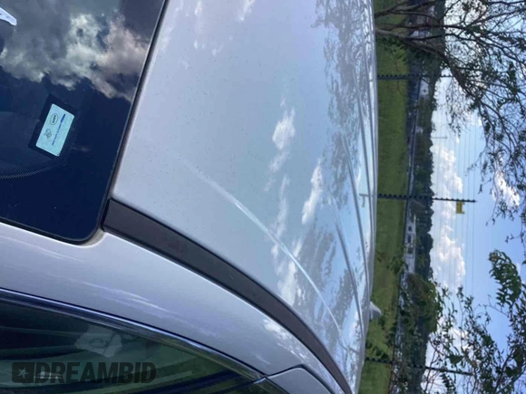 2017 Chrysler Pacifica Touring with VIN 2C4RC1DG5HR764942, listed as a IAAI auction lot 42255421 with 64,381 mi miles and . Bid and sale history available at DreamBid. Image 1.