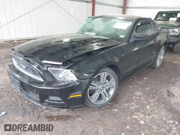 2014 Ford Mustang V6 with VIN 1ZVBP8AM5E5284026, listed as a IAAI auction lot 41861609 with 123,352 mi miles. Bid and sale history available at carsss.com. Image 17.