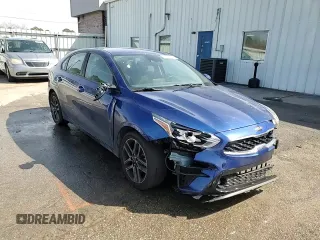 2019 Kia Forte S with VIN 3KPF34ADXKE007123, listed as a Copart auction lot 48072635 with 134,538 mi miles and Salvage Title. Bid and sale history available at carsss.com. Image 13.
