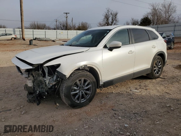 2020 Mazda CX-9 Sport with VIN JM3TCBBY3L0401329, listed as a Copart auction lot 88391665 with 80,513 mi miles and Salvage Title. Bid and sale history available at carsss.com. Image 1.