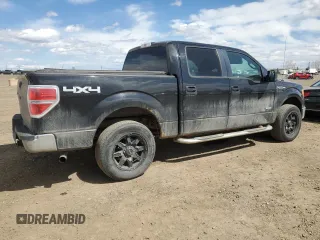 2013 Ford F-150 XL with VIN 1FTFW1ET2DFB46825, listed as a Copart auction lot 55166615 with 195,309 mi miles and Clean Title. Bid and sale history available at carsss.com. Image 3.