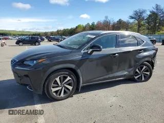 2019 Lexus NX 300 with VIN JTJBARBZ3K2203877, listed as a Copart auction lot 57160035 with 46,238 mi miles and Salvage title. Bid and sale history available at DreamBid. Image 1.