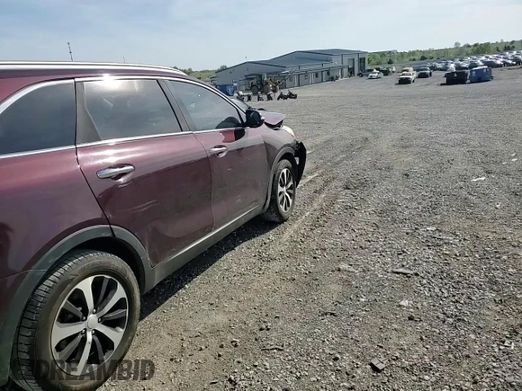 2016 Kia Sorento EX with VIN 5XYPH4A53GG127080, listed as a Copart auction lot 54145025 with 78,814 mi miles and Salvage title. Bid and sale history available at DreamBid. Image 14.