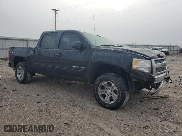 2013 Chevrolet Silverado 1500 LT with VIN 3GCPKSEA3DG109575, listed as a Copart auction lot 80770444 with 202,824 mi miles and Salvage Title. Bid and sale history available at DreamBid. Image 4.