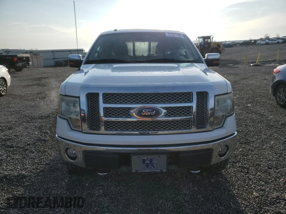 2010 Ford F-150 XL with VIN 1FTFW1EV8AFD17297, listed as a Copart auction lot 51371105 with 175,385 mi miles and Salvage Title. Bid and sale history available at carsss.com. Image 5.