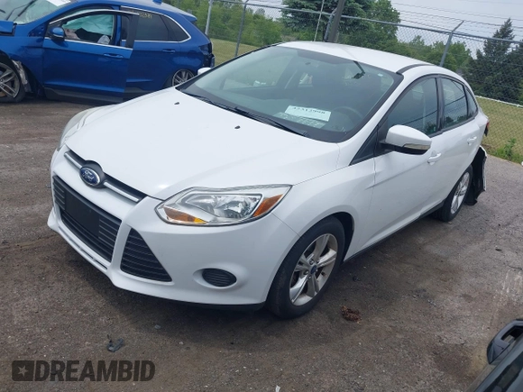 2013 Ford Focus SE with VIN 1FADP3F24DL380185, listed as a IAAI auction lot 42312998 with Not provided miles and . Bid and sale history available at DreamBid. Image 2.