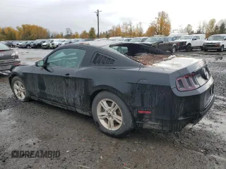 2013 Ford Mustang V6 with VIN 1ZVBP8AM9D5280169, listed as a Copart auction lot 81176564 with 155,330 mi miles and Salvage title. Bid and sale history available at DreamBid. Image 2.