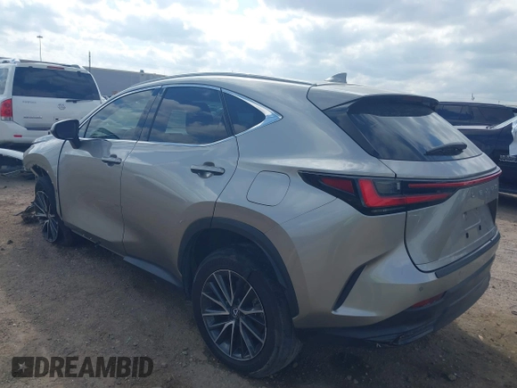 2024 Lexus NX with VIN 2T2GGCEZXRC038367, listed as a IAAI auction lot 41492159 with 34,753 mi miles. Bid and sale history available at carsss.com. Image 3.