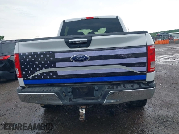 2015 Ford F-150 XLT with VIN 1FTEW1EF3FKD06291, listed as a IAAI auction lot 42158798 with Not provided miles and . Bid and sale history available at DreamBid. Image 16.