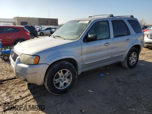 2004 Ford Escape Limited with VIN 1FMCU04194KA50096, listed as a Copart auction lot 79530614 with 222,129 mi miles and Clean title. Bid and sale history available at DreamBid. Image 1.