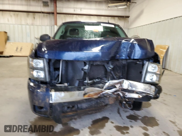 2009 Chevrolet Silverado 1500 Work Truck with VIN 1GCEC14X49Z204237, listed as a Copart auction lot 86647874 with Not Provided miles and Salvage Title. Bid and sale history available at DreamBid. Image 5.