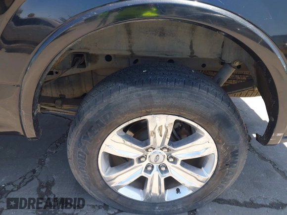 2015 Ford F-150 XLT with VIN 1FTEW1EG4FFB91458, listed as a IAAI auction lot 42588674 with 301,303 mi miles and . Bid and sale history available at DreamBid. Image 17.