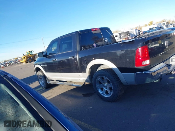 2009 Dodge 1500 SLT with VIN 1D3HV13T79J528679, listed as a IAAI auction lot 40873674 with Not Provided miles and . Bid and sale history available at DreamBid. Image 13.