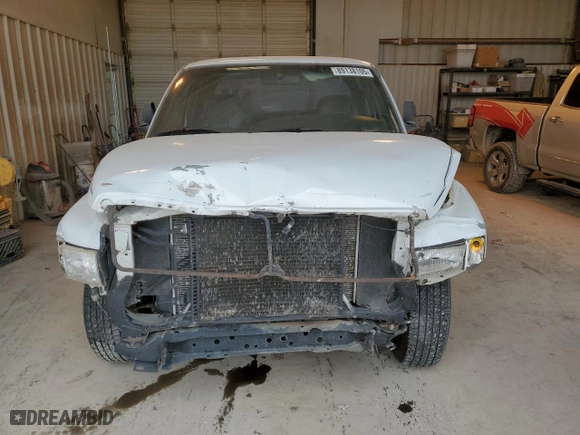 1999 Dodge Ram 1500 with VIN 3B7HC13Y1XG172013, listed as a Copart auction lot 89138105 with 237,449 mi miles and Salvage Title. Bid and sale history available at carsss.com. Image 5.