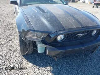 2014 Ford Mustang GT with VIN 1ZVBP8CF5E5201080, listed as a IAAI auction lot 42191392 with 42,701 mi miles and . Bid and sale history available at DreamBid. Image 6.