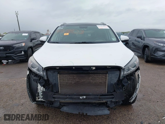 2018 Kia Sorento SX Limited with VIN 5XYPKDA58JG384521, listed as a IAAI auction lot 41903823 with Not provided miles and . Bid and sale history available at DreamBid. Image 12.