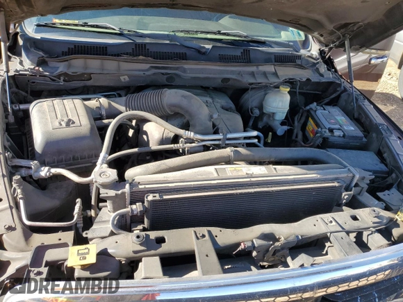 2013 Ram 1500 Lone Star z VIN 1C6RR7TT2DS701698, wystawiony jako Copart lot #81973544 z przebiegiem 258 001 mil mil oraz Szkoda całkowita • Salvage title. Historia ofert i sprzedaży dostępna na DreamBid. Obrazek 13.