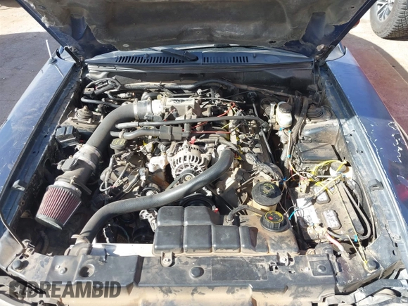 2001 Ford Mustang GT Deluxe with VIN 1FAFP42X01F104029, listed as a IAAI auction lot 41804855 with 178,662 mi miles and . Bid and sale history available at DreamBid. Image 10.