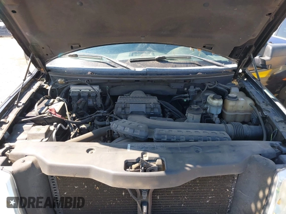 2005 Ford F-150 XLT with VIN 1FTRX12545KD69019, listed as a IAAI auction lot 42710675 with Not provided miles and . Bid and sale history available at DreamBid. Image 10.